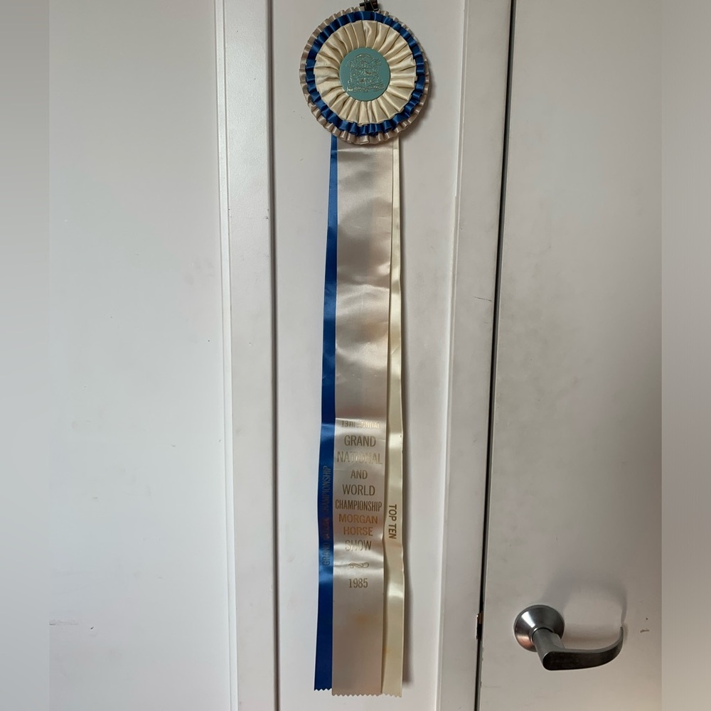 Vintage Morgan Horse Champion Horse Show Ribbon